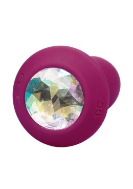 Vibrating Petite Crystal Probe Purple CalExotics