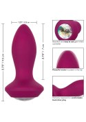 Vibrating Petite Crystal Probe Purple CalExotics