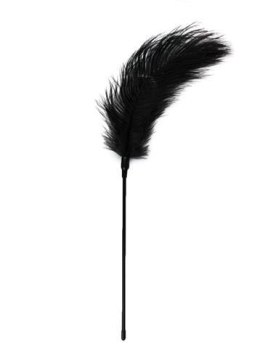 Pejcz-Black Feather Tickler Easytoys