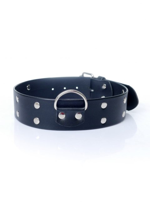Fetish Boss Series Collar with studs 4 cm Fetish Boss Series