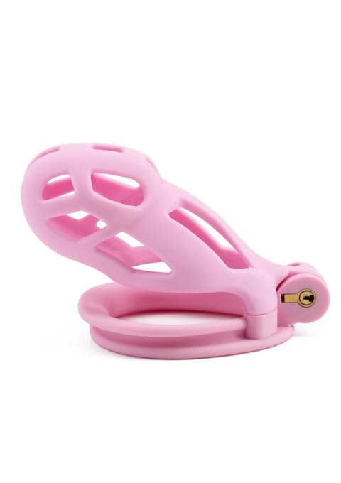 Penis Prison Cock Cage Regular Pink Hidden Desire