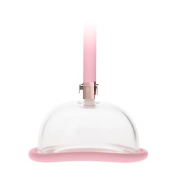 Rechargeable Pussy Pump Pumped