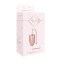 Rechargeable Pussy Pump Pumped