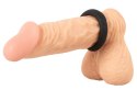 ErectoSingleCockRing Erecto