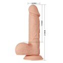 BAILE-Beautiful Bahamut 8.5"""" BAILE