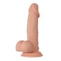 BAILE-Beautiful Zebulon 7.6"""" BAILE