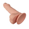 BAILE-Beautiful Zebulon 7.6"""" BAILE