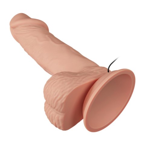 BAILE-Beautiful Zebulon Vibration 7.6"""" BAILE