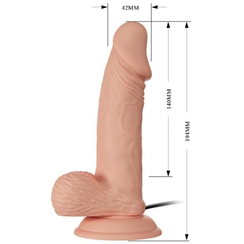 BAILE-Beautiful Zebulon Vibration 7.6"""" BAILE