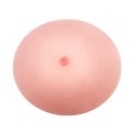 BAILE - True Breast BAILE
