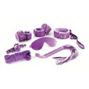 CRUSHIOUS DUNGEONS & MAIDENS BDSM KIT PURPLE Crushious
