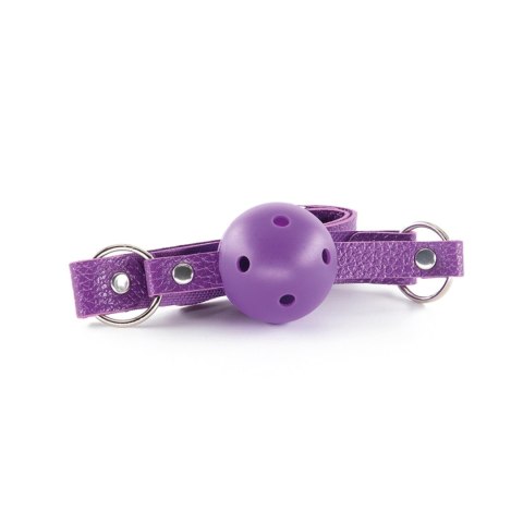 CRUSHIOUS DUNGEONS & MAIDENS BDSM KIT PURPLE Crushious