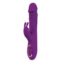 Rabbit vibrator - 10 different modes of vibration and heating function Fantasy