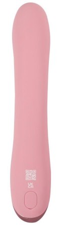 Beau coeur Avenor G-Spot Rabbi Beau coeur