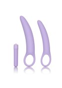Isabelle Set of 2 Dilators Purple CalExotics
