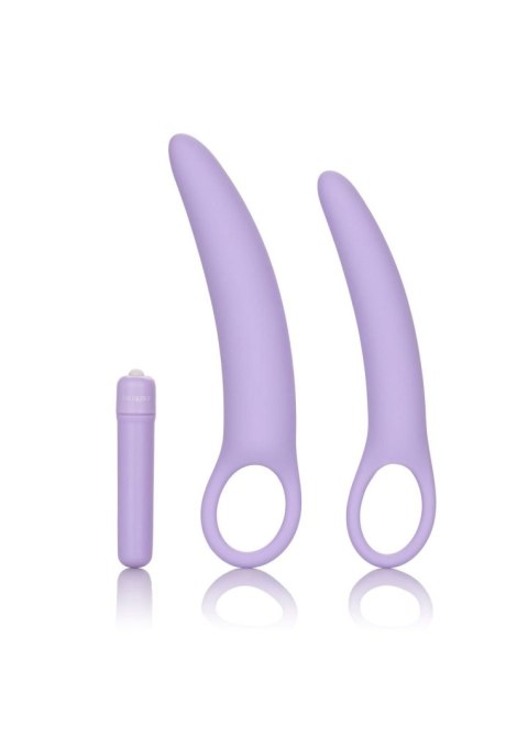 Isabelle Set of 2 Dilators Purple CalExotics