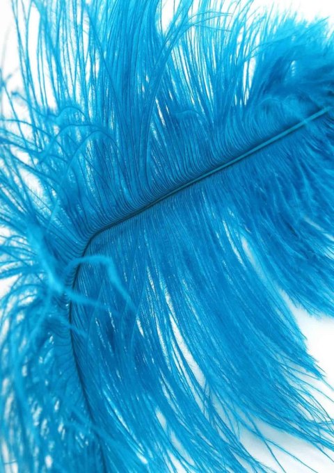 Double Feather Tickler Blue Hidden Desire