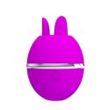 PRETTY LOVE - Gemini Ball, Silicone, USB rechargeable Pretty Love