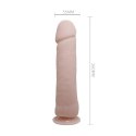 BAILE - The Big Penis BAILE