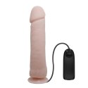 BAILE - The Big Penis BAILE