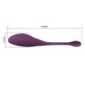 Pretty Love Dora - App Controlled Couple's Vibrator Pretty Love