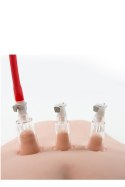 TEMPTASIA CLITORIS PLEASURE SYSTEM Blush
