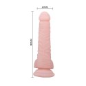 Realistyczny penis dildo z przyssawką jądrami 18cm BAILE