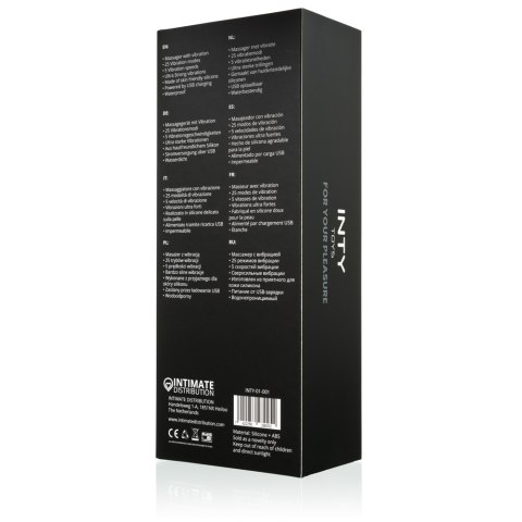 INTY Toys - Torch INTY Toys