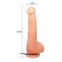 Penis realistyczny jądra przyssawka pilot 24cm BAILE
