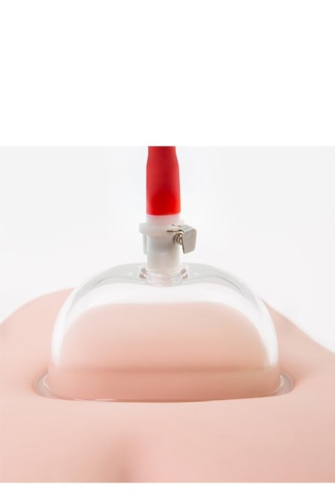 Pompka do waginy PUSSY PUMP SYSTEM Blush