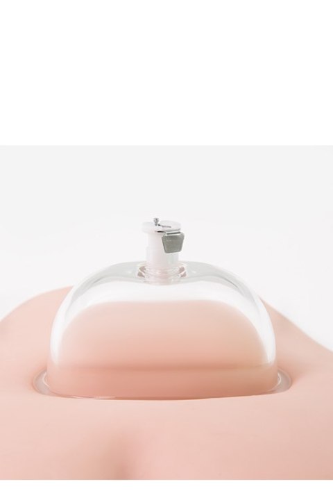 Pompka do waginy PUSSY PUMP SYSTEM Blush