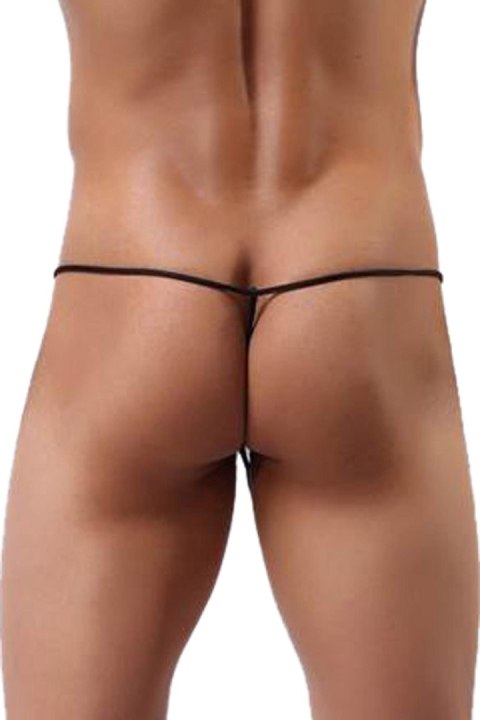 STG MEN MP051 WHITE TU (Size: TU) Paris Hollywood