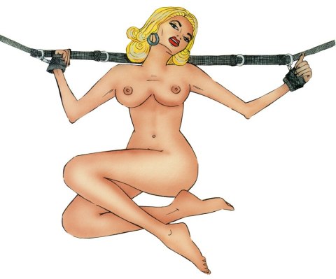 Zestaw do wiązania krępowania dominacji kajdanki You2Toys